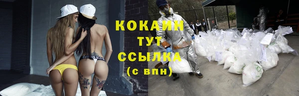 Альфа ПВП Вяземский
