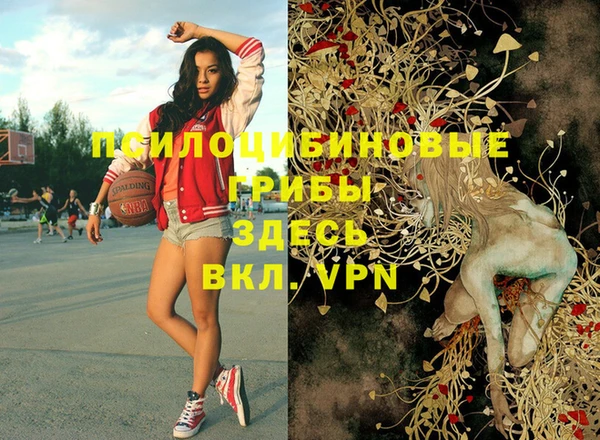 Альфа ПВП Вяземский