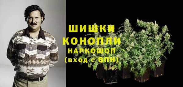 Альфа ПВП Вяземский