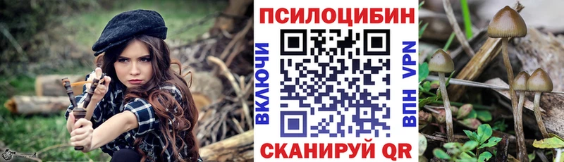 Галлюциногенные грибы мухоморы  цены   Керчь 